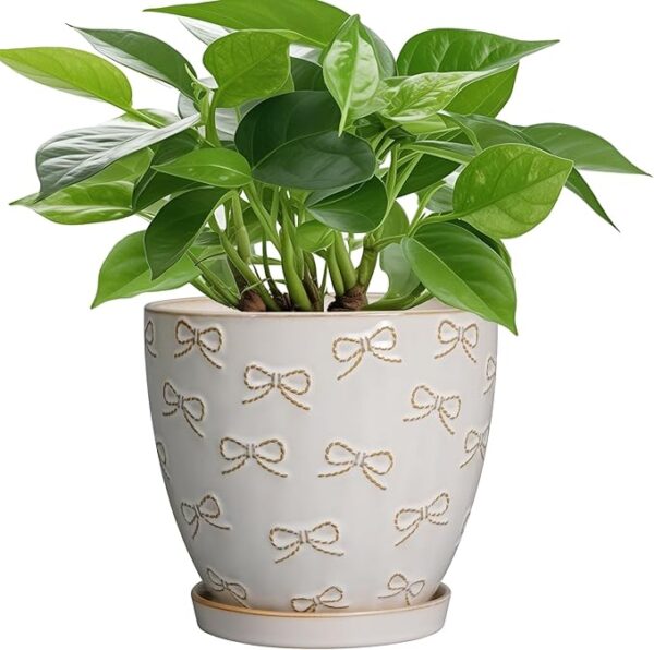 Ceramic Plant